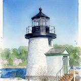 Spend the Day at the Aquarium or the Mystic Seaport