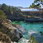 Point Lobos State Natural Reserve