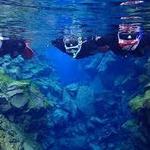 Sundiver Snorkel Tours