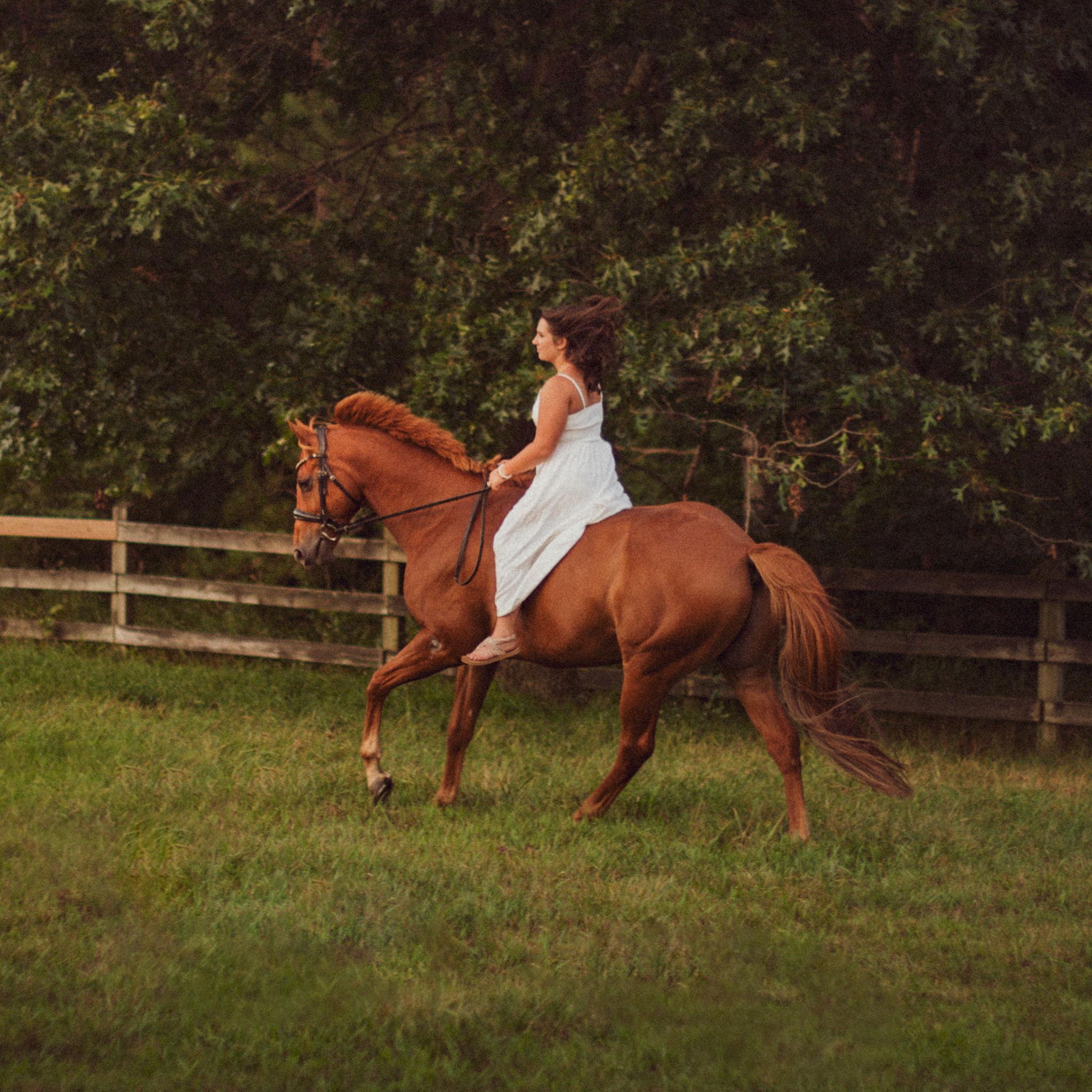 Cassidy and Yogi frolicking through the Big Pasture.