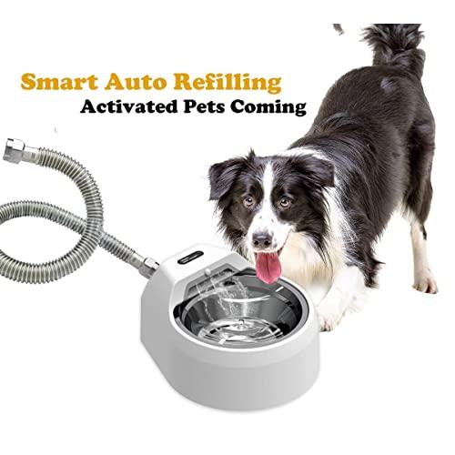 Automatic Stainless Steel Dog Water Bowl Fountain for Pets Indoor/Outdoor, Auto Refilling Dog Water Dispenser Without Step on