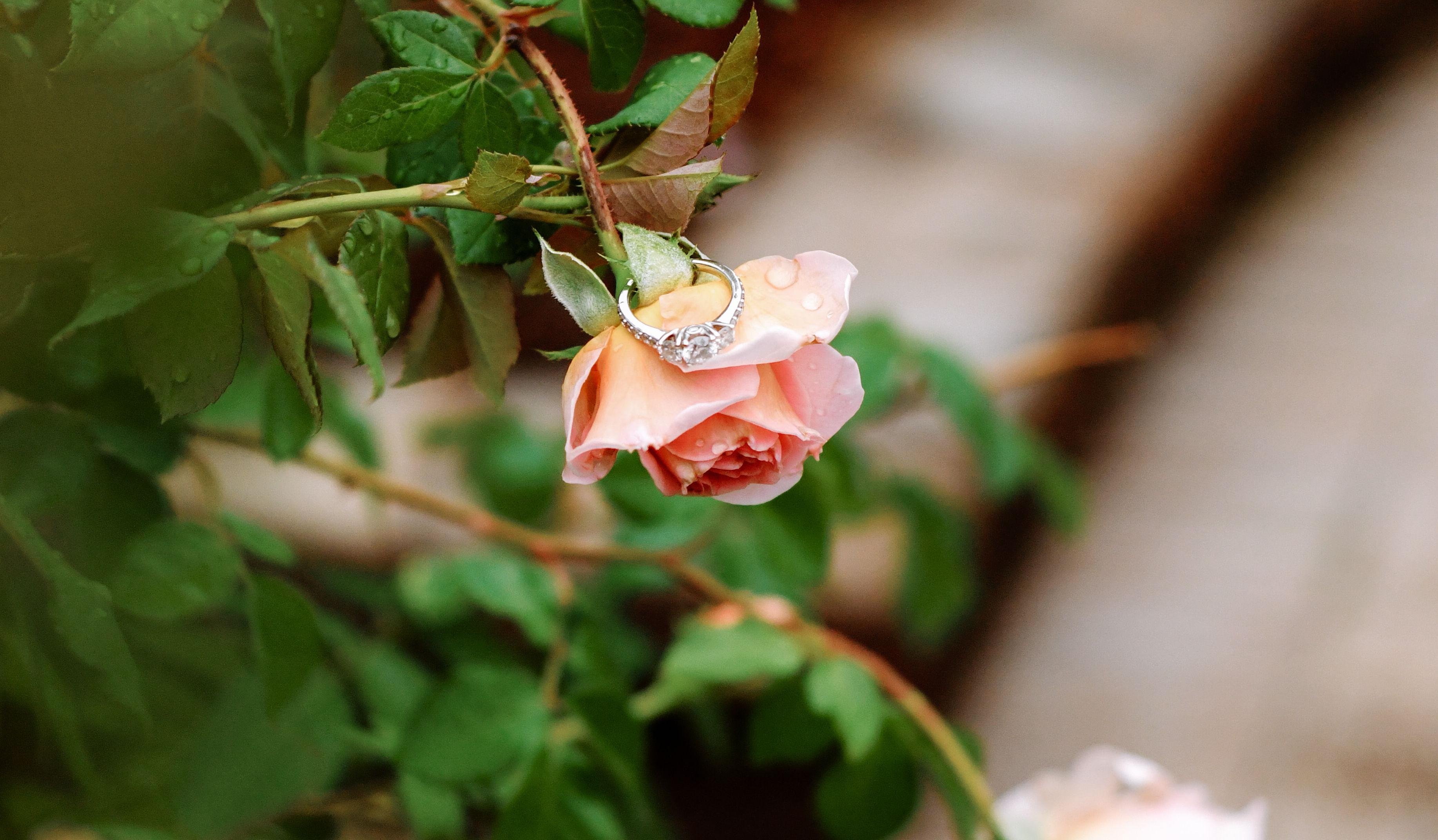 Hero Slideshow Image 3