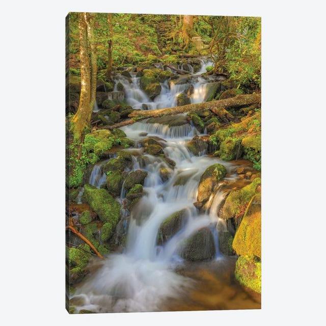 Smoky Mountain Waterfall - Canvas Print