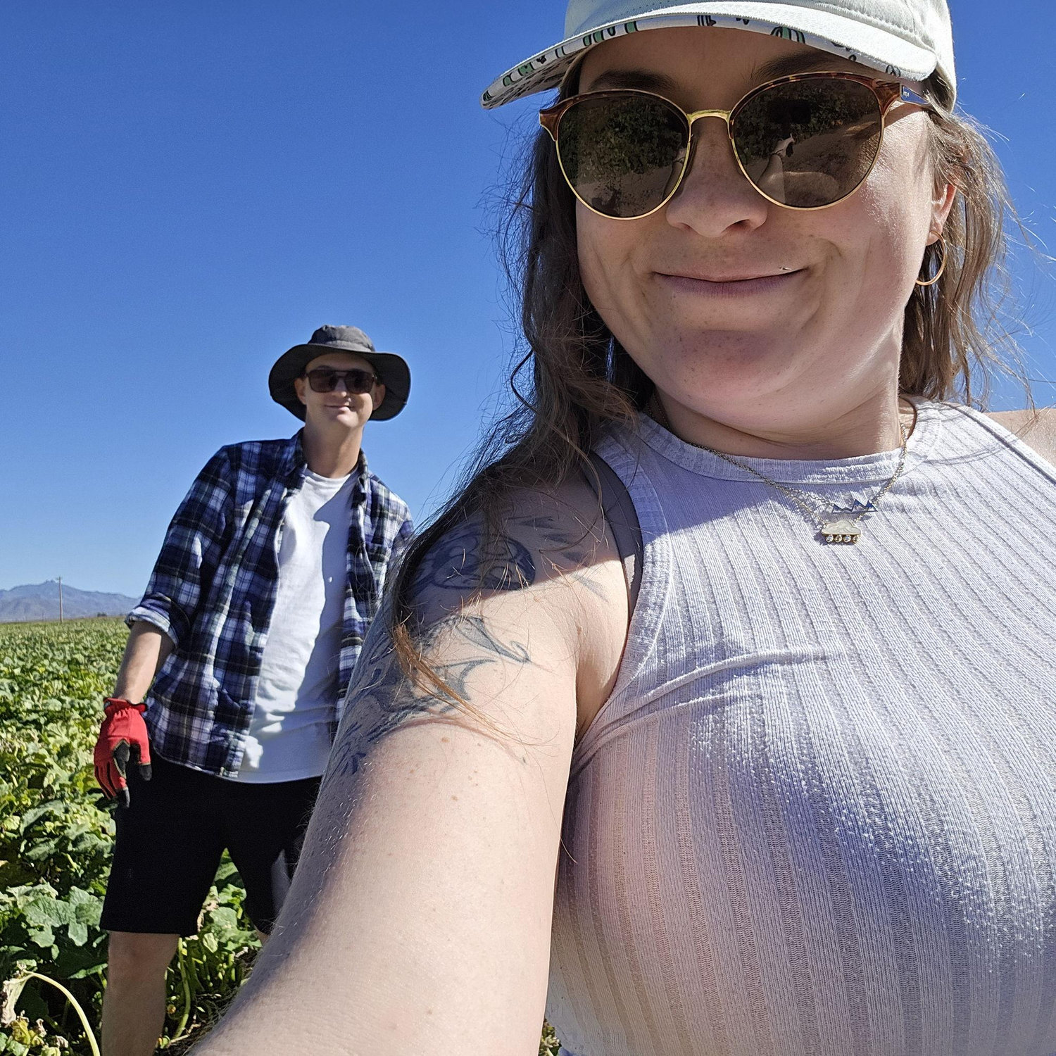 Pumpkin Patch, 2025