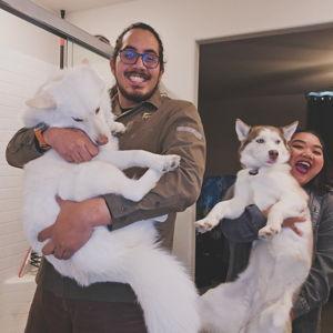 Pet Hotel For Our Honeymoon