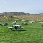 Weed Orchards & Winery