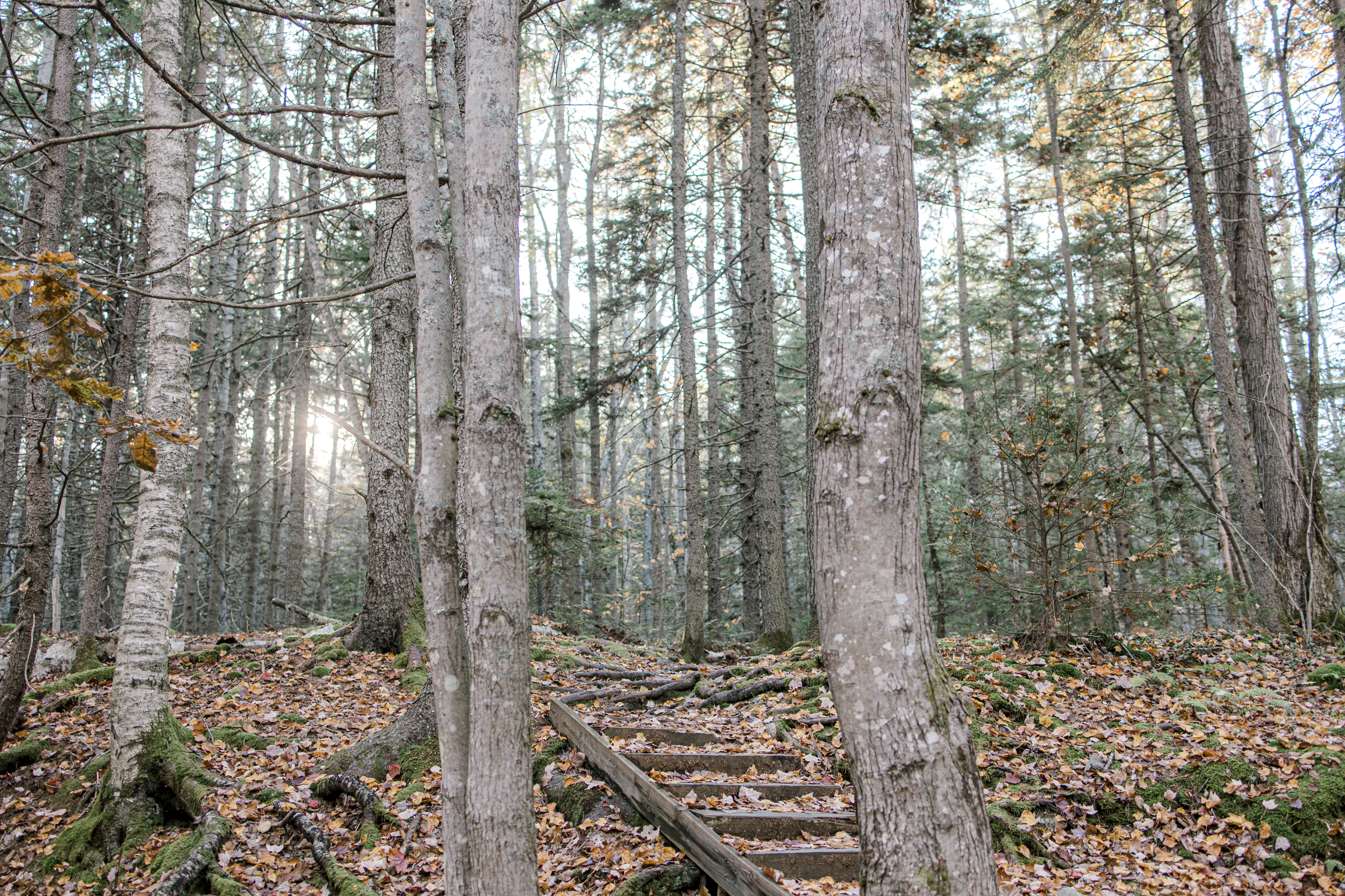 The Wedding Website of Ryan Hinkley and Julia Okvath