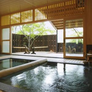 Ryokan (Spa Hotel) Experience