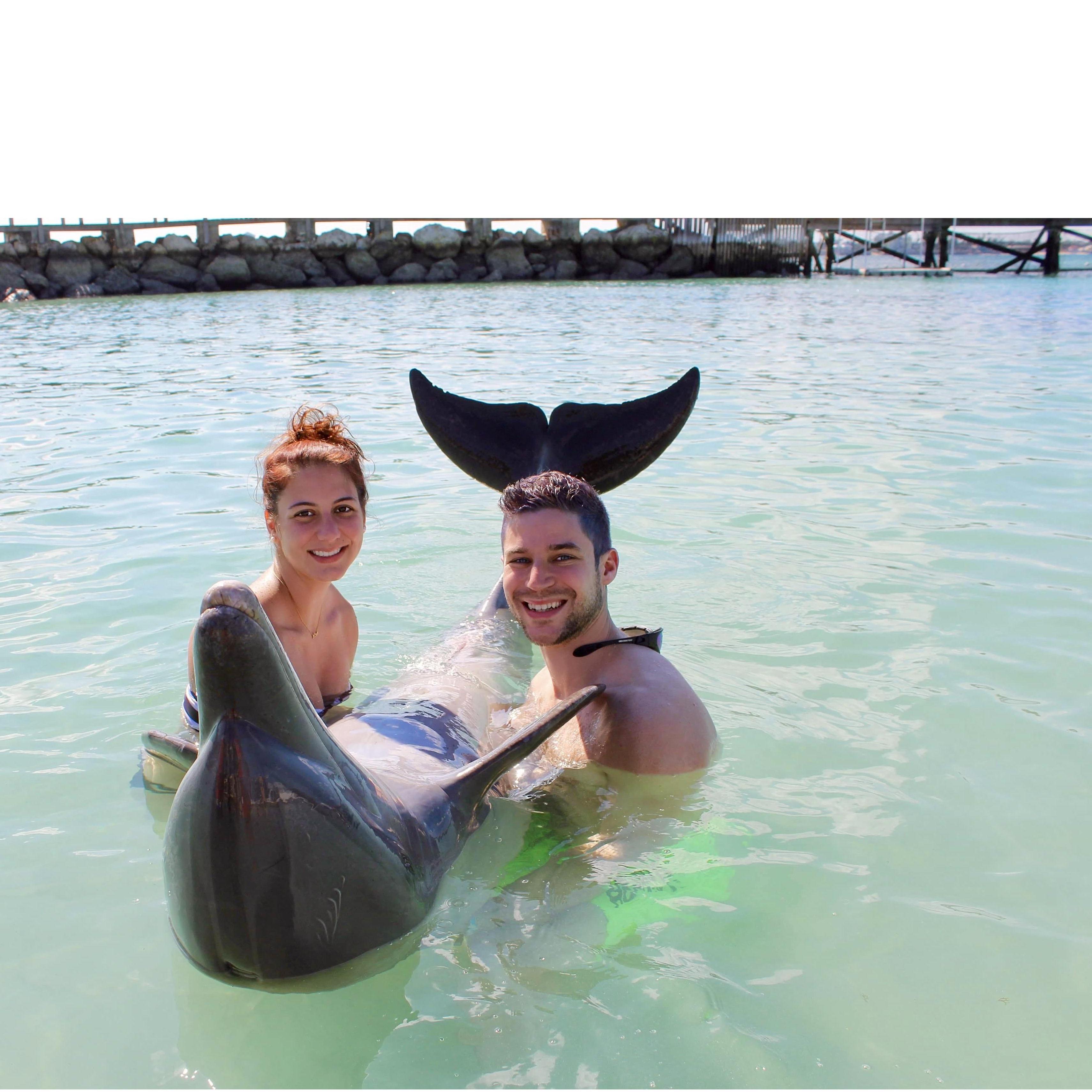 2017 - We made a new Caribbean friend!