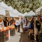 Calabasas Farmers Market