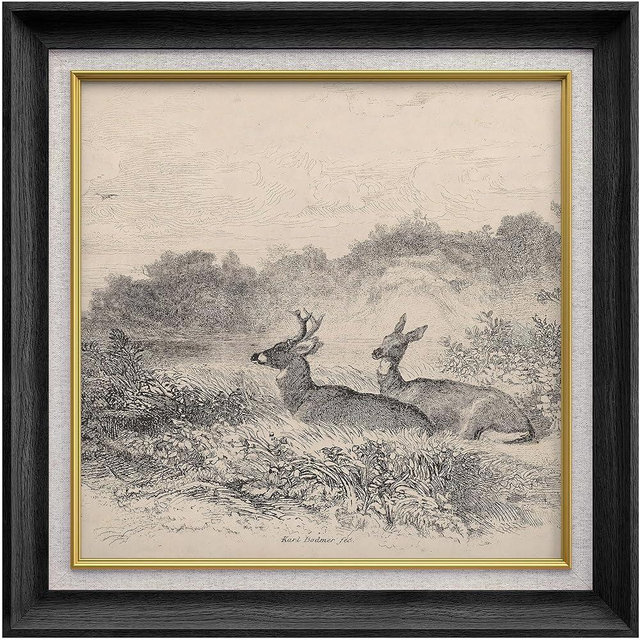 MUDECOR Premium Framed Wall Art Deer in Natural Habitat Antique Wildlife Classic Vintage Illustrations Fine Art Decorative Retro Historic Zen for Living Room, Bedroom, Office - 26"x26" Black