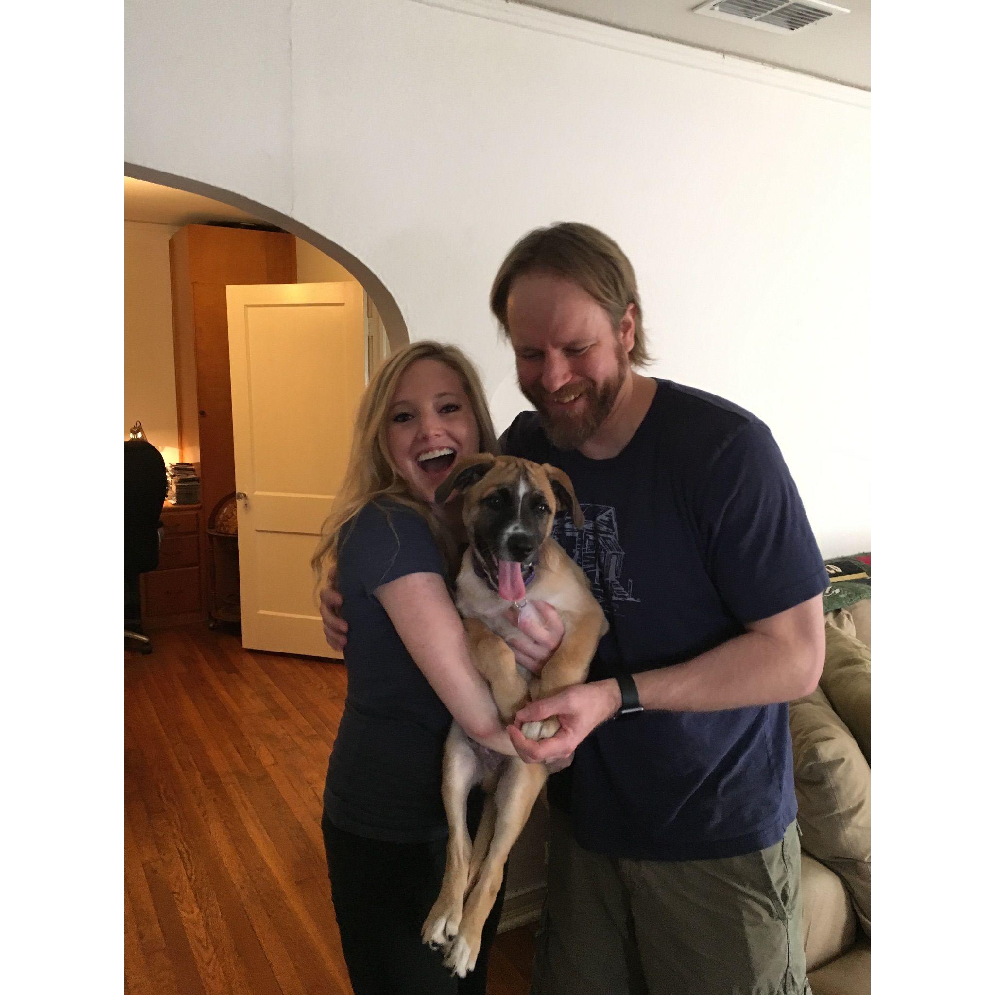 We adopted Harvey in 2017!!