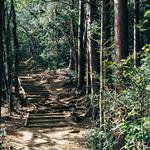 Hiking