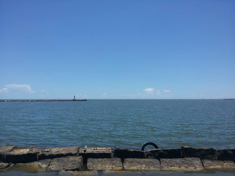 d178dfb9-1790-475c-9061-1a6d2ce4d704