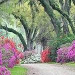 Afton Villa Gardens