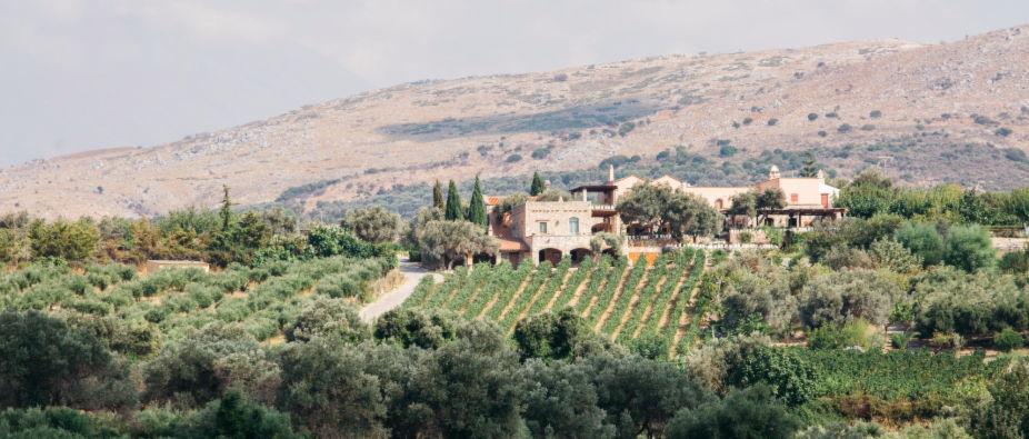 The Wedding Website of Paige Duncan and Spiros Stamatopoulos