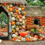 The Dallas Arboretum and Botanical Gardens