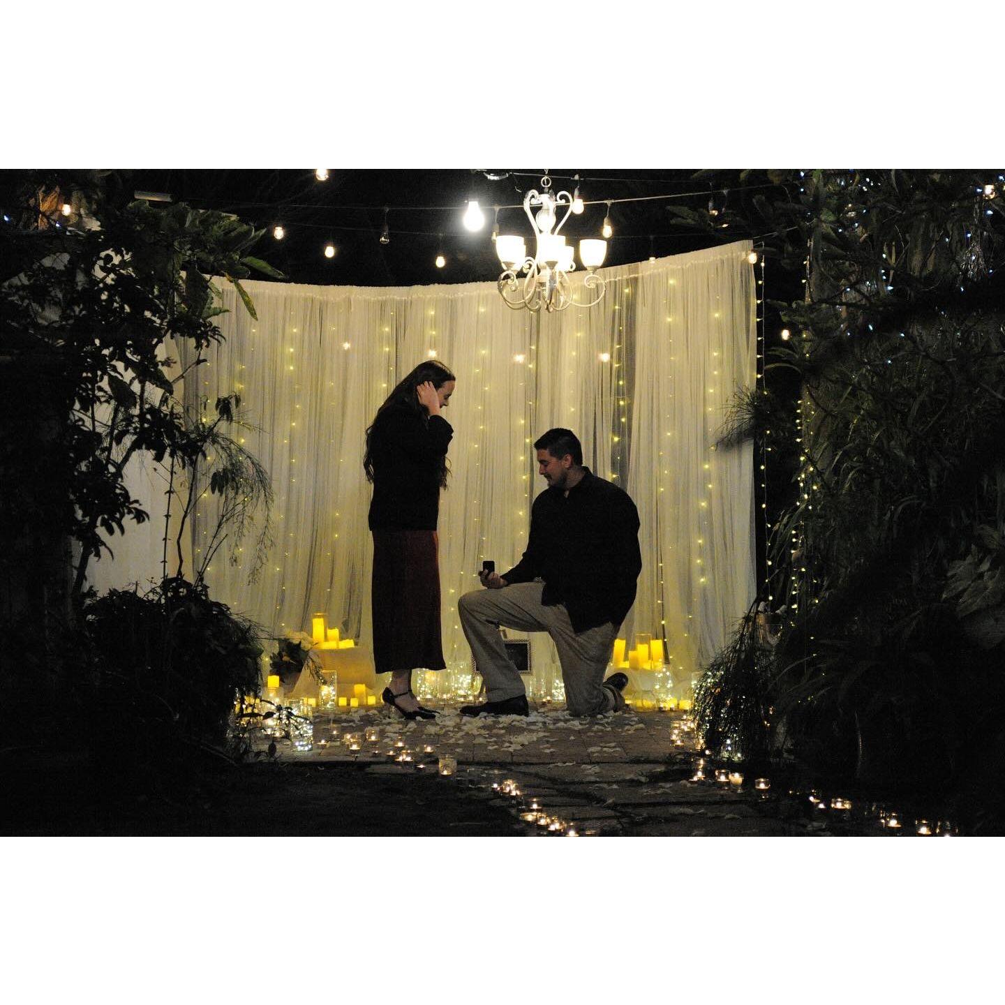 The day Christopher proposed to spend the rest of our lives together.