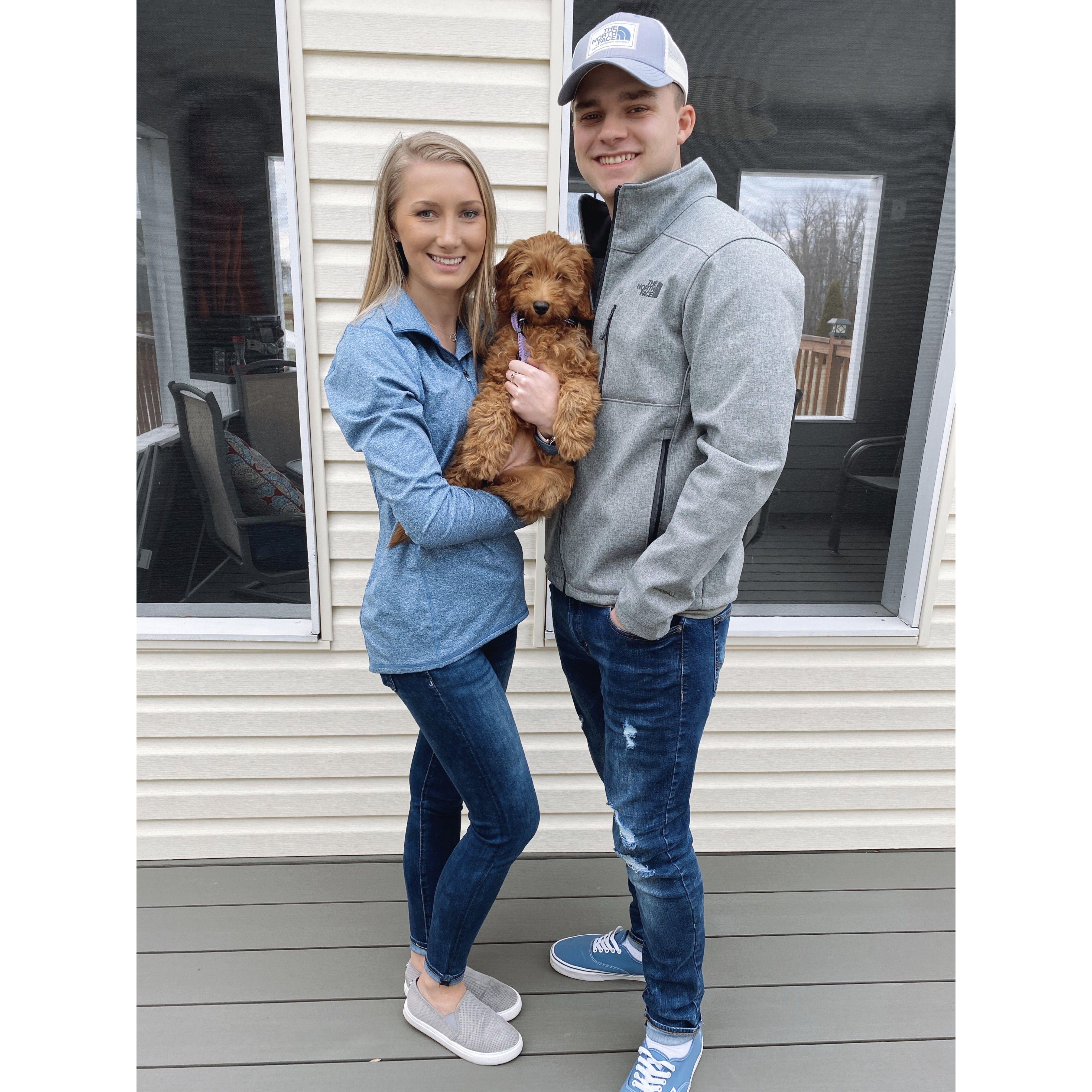 Remi was added to the family! February 2020