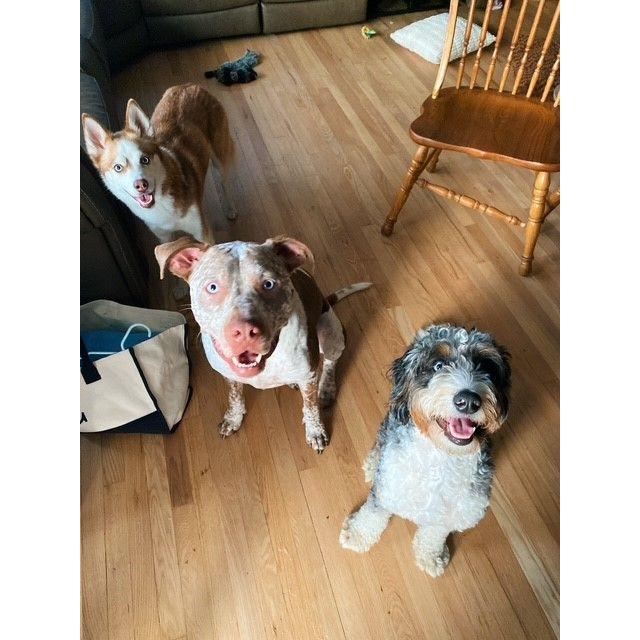 hacked mom & dads account