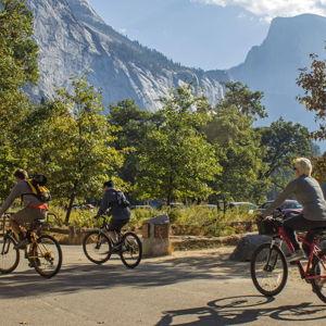 Yosemite Valley Bike Rentals