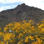 Piestewa Peak