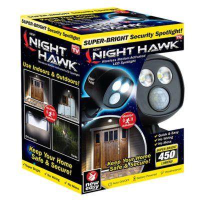 Night Hawk™ 2-Light LED Outdoor Security Light in Black