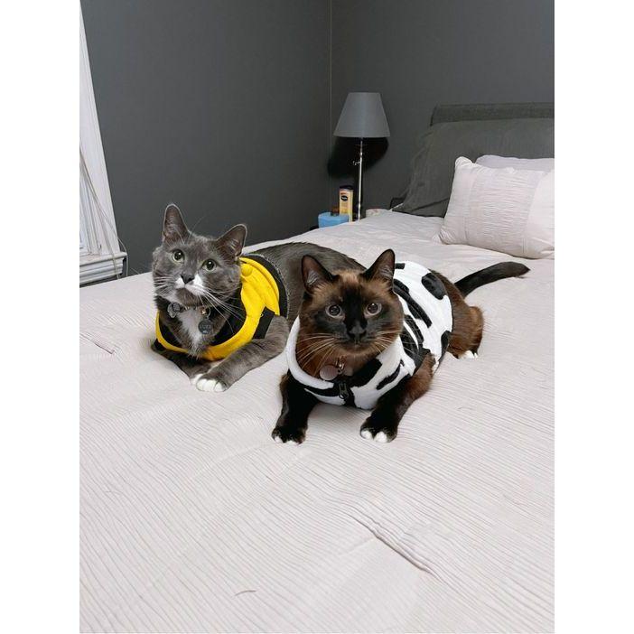 When the heater isnt working we break out the sweaters (2021)