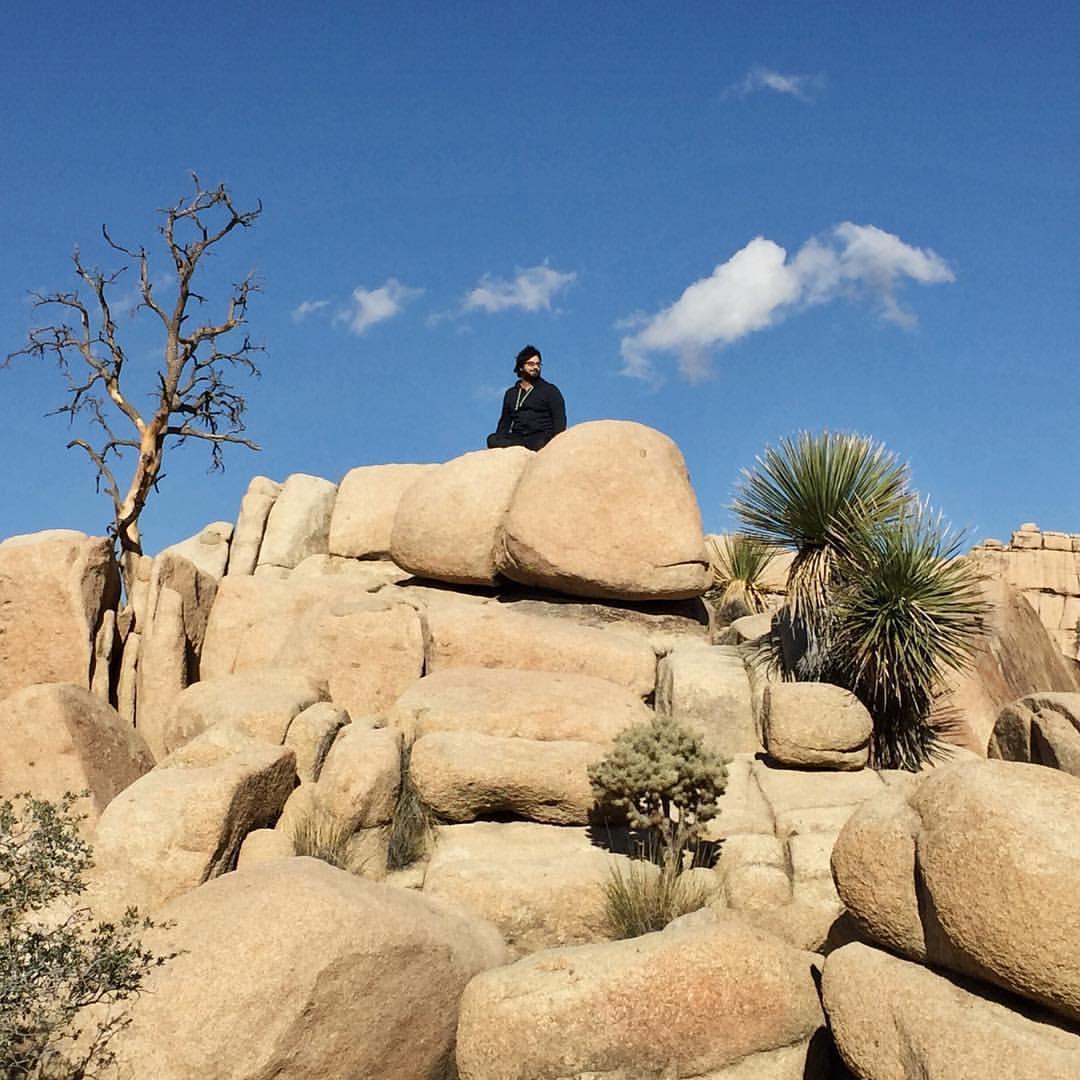 Perched in Joshua Tree.