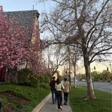 Temple Square