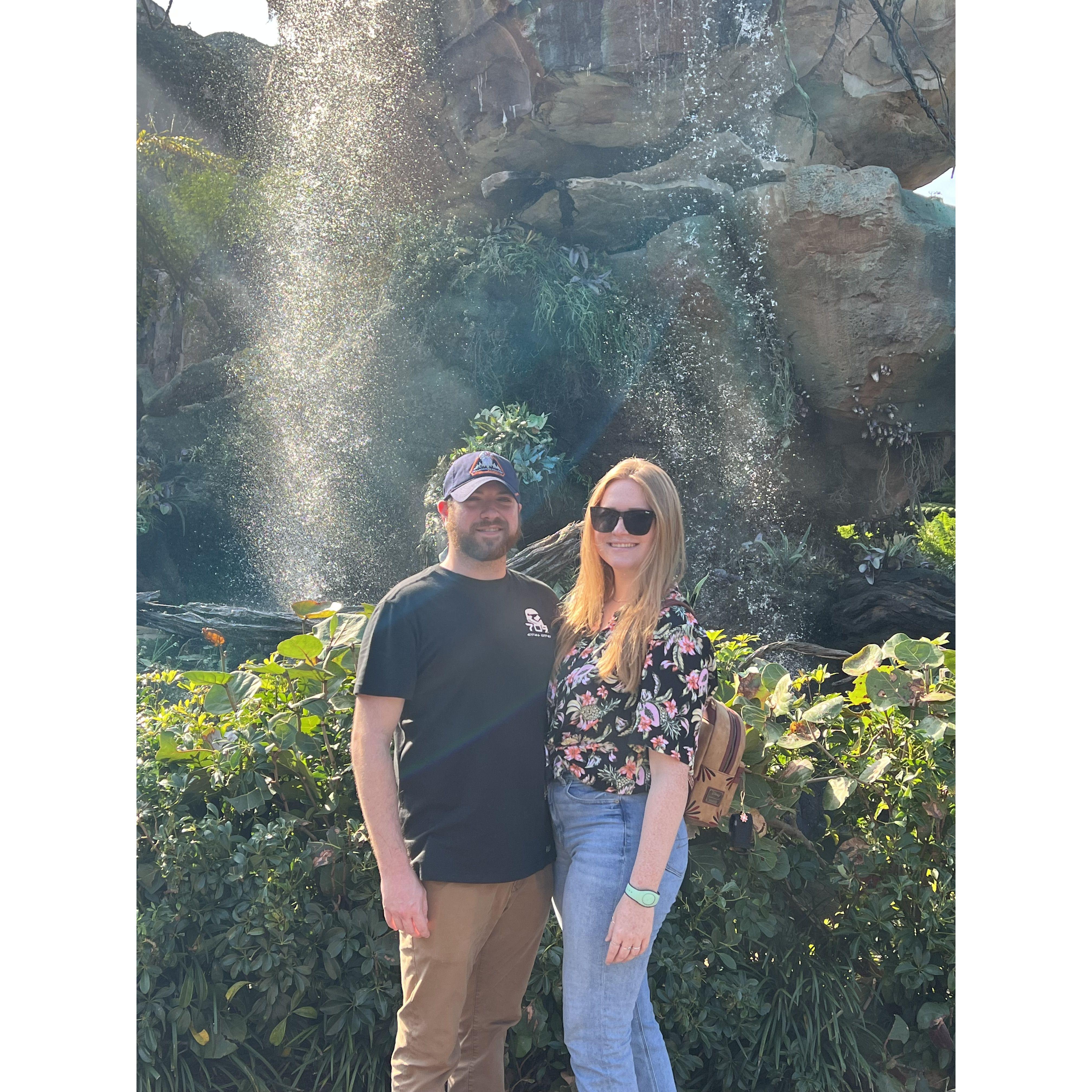 Animal Kingdom - 2021