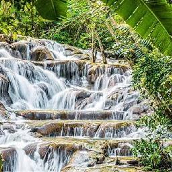 Dunns River Fall with Lunch