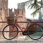 Rent a bicycle for the day