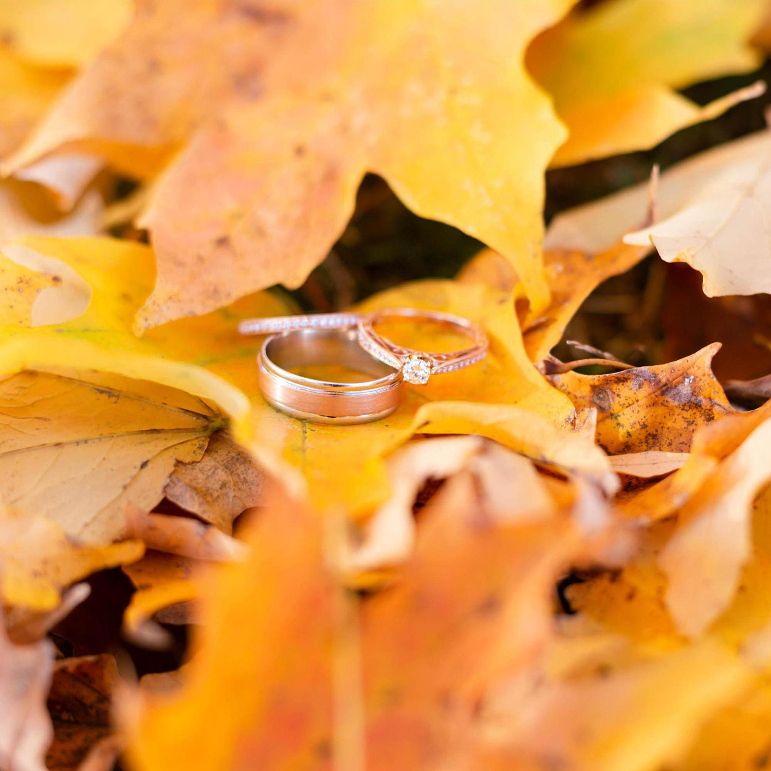 November 10, 2018
805 Days
Kylene Ann Photography (a.k.a. the best photographers ever)