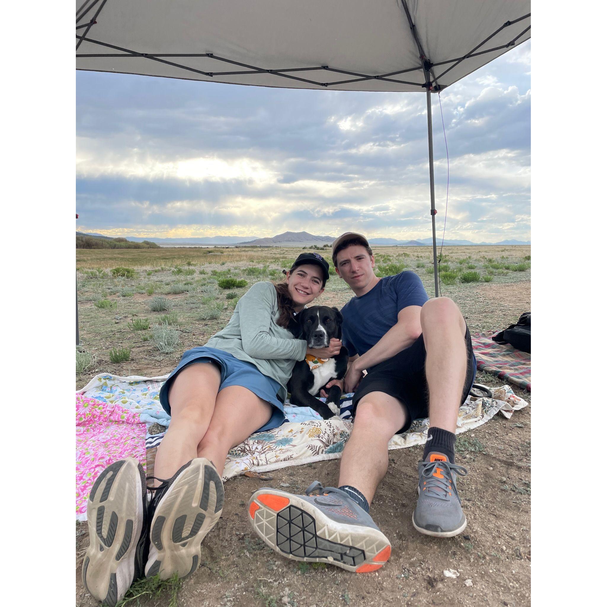 Camping with friends (and dogs)