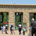 Memphis Zoo