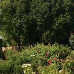 UT Gardens