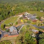 Dahlonega Wine Tours