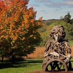 The Morton Arboretum