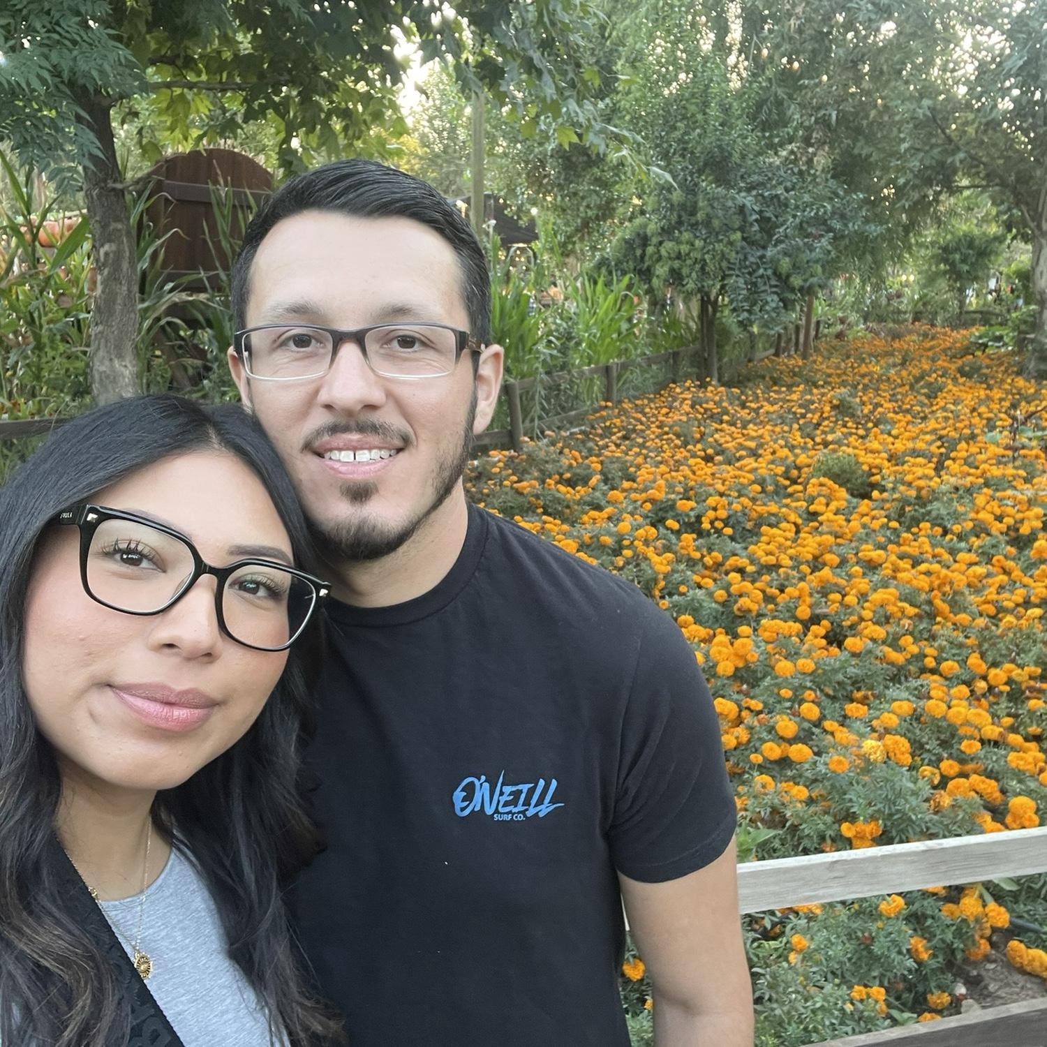 Pumpkin Patch