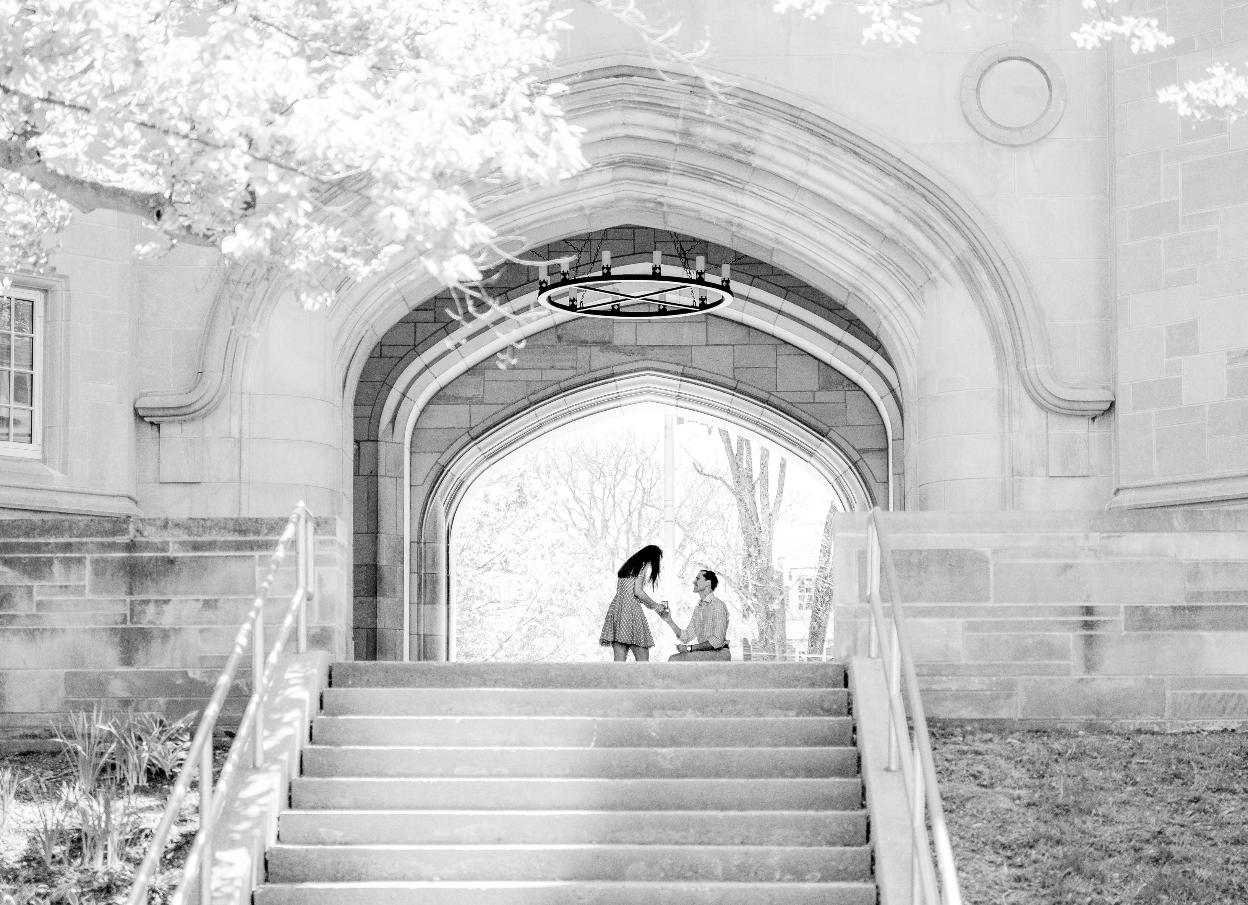 The Wedding Website of Nicole Noakes and Steven Krizo