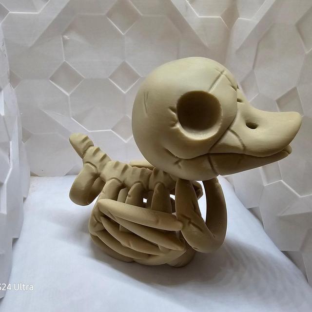 Skeleton Duck