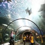 Audubon Aquarium
