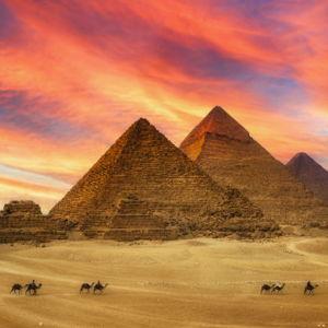 Camel Ride to the Pyramids in Egypt