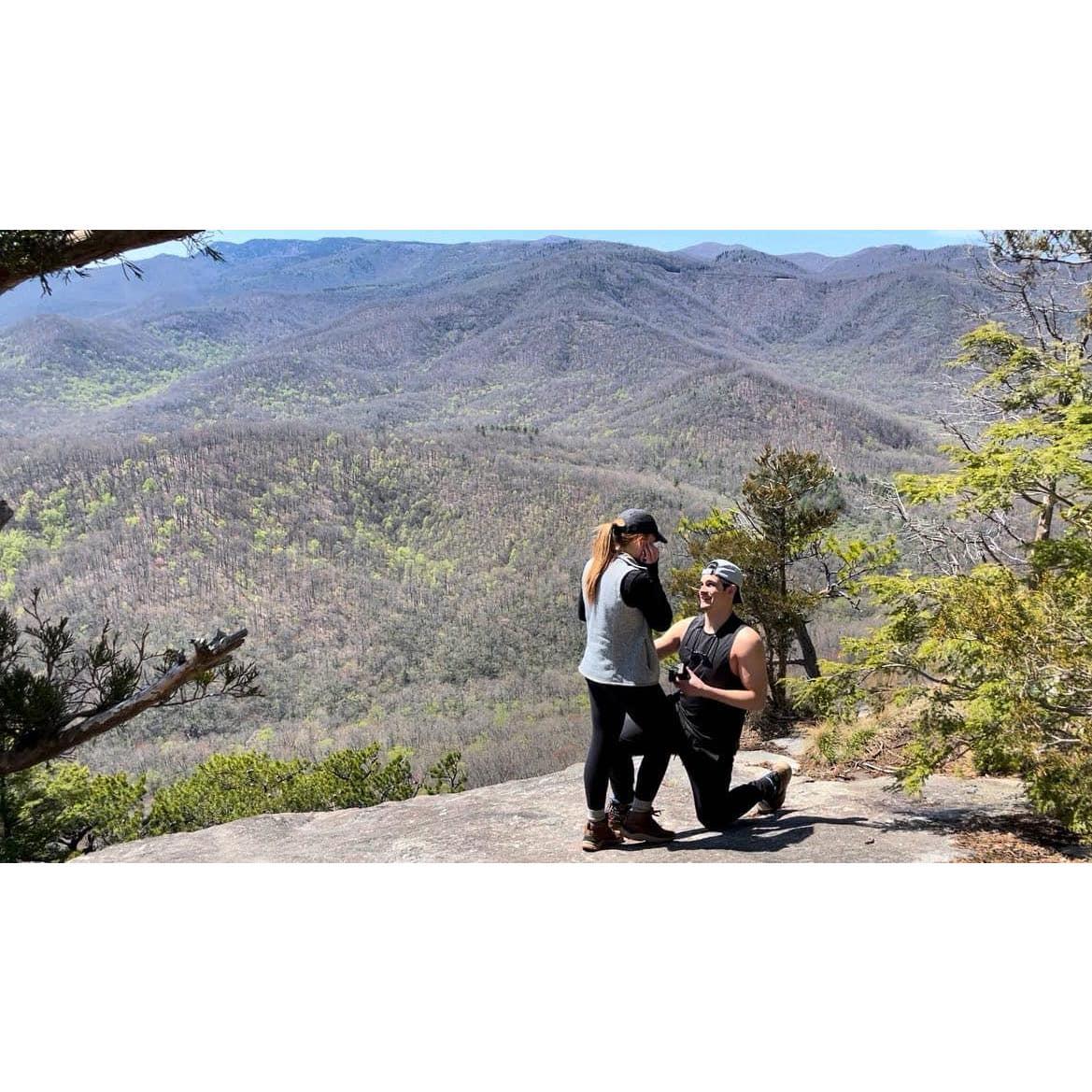 The proposal in Pisgah National Forest