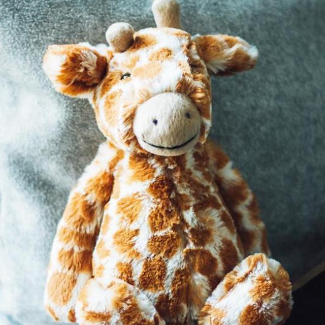Bashful Giraffe Small