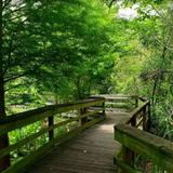 Mead Botanical Garden
