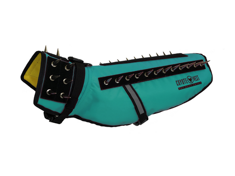 CoyoteVest (medium, turquoise)