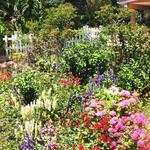 Port St. Lucie Botanical Gardens