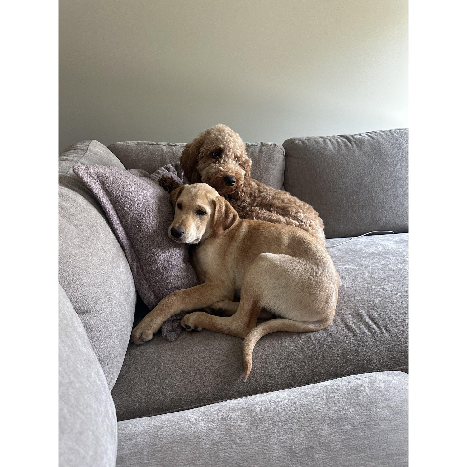 Erin and Spencer's kids Rubi Lou and Brutus Lee !!